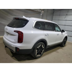 2024 KIA TELLURIDE 5XYP6DGC7RG478864 69826135