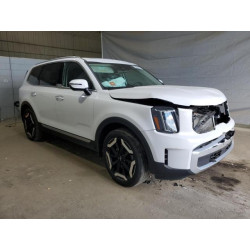 2024 KIA TELLURIDE 5XYP6DGC7RG478864 69826135