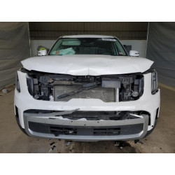 2024 KIA TELLURIDE 5XYP6DGC7RG478864 69826135