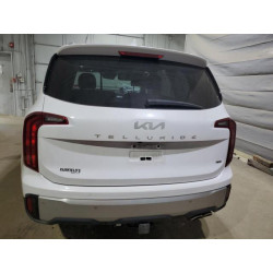 2024 KIA TELLURIDE 5XYP6DGC7RG478864 69826135