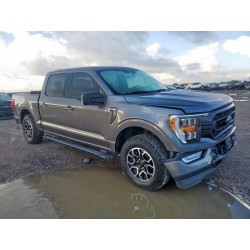 2021 FORD F-150 1FTFW1E83MFA08416 82112815