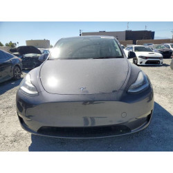 2022 TESLA MODEL Y 7SAYGDEE6NF509399 71325645