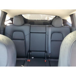 2022 TESLA MODEL Y 7SAYGDEE6NF509399 71325645