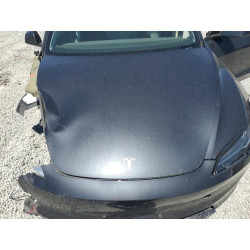 2024 TESLA MODEL 3 5YJ3E1EA3RF768303 60329715