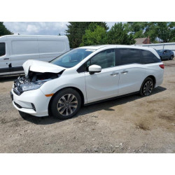 2022 HONDA All Models 5FNRL6H79NB065652 65781605