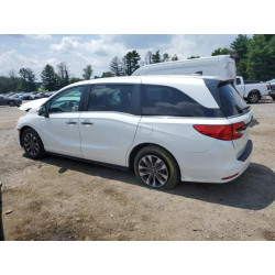 2022 HONDA All Models 5FNRL6H79NB065652 65781605