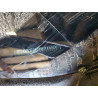 2022 HYUNDAI TUCSON KM8JFCAE1NU169065 84655095
