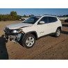 2020 JEEP COMPASS 3C4NJDBB2LT241204 80622225