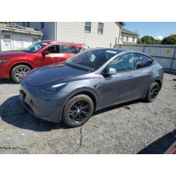 2023 TESLA MODEL Y 7SAYGAEE8PF942790 81433705