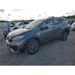 2022 HONDA CRV 7FARW2H54NE047126 85833585