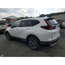 2020 HONDA CRV 2HKRW2H57LH679967 65129225