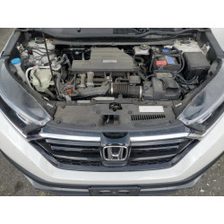 2020 HONDA CRV 2HKRW2H57LH679967 65129225