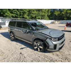 2024 HYUNDAI SANTA FE 5NMP44GLXRH035555 70585975