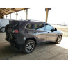 2020 JEEP GRAND CHER 1C4PJLLB7LD596408 68141825