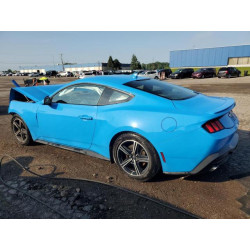 2024 FORD ALL Models 1FA6P8TH8R5133441 62594205