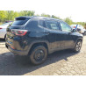 2020 JEEP COMPASS 3C4NJDCB9LT193263 66271485