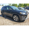 2020 JEEP COMPASS 3C4NJDCB9LT193263 66271485