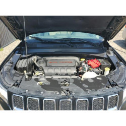 2020 JEEP COMPASS 3C4NJDCB9LT193263 66271485