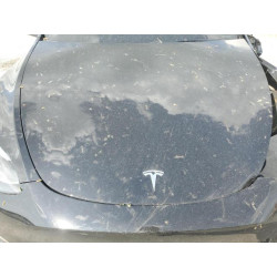 2023 TESLA MODEL Y 7SAYGDEF0PF707570 55383425