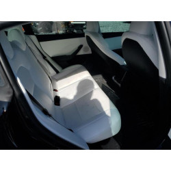 2024 TESLA MODEL 3 5YJ3E1EA4RF862805 71122295