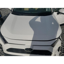 2021 TOYOTA RAV4 2T3W1RFVXMC116629 82103245