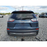 2020 JEEP GRAND CHER 1C4PJLDB7LD561172 84835425