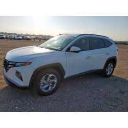 2023 HYUNDAI TUCSON 5NMJB3AE3PH292022 69133545