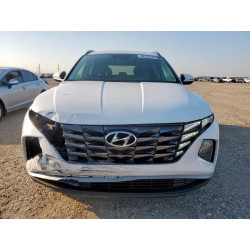 2023 HYUNDAI TUCSON 5NMJB3AE3PH292022 69133545