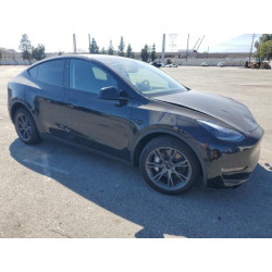 2025 TESLA MODEL Y 7SAYGDEE1SF278763 63344295