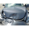 2023 TESLA MODEL 3 5YJ3E1EB7PF619835 59034955