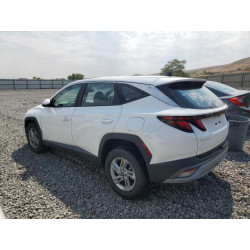 2025 HYUNDAI TUCSON 5NMJACDE4SH454988 69635465
