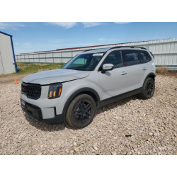 2025 KIA TELLURIDE 5XYP3DGC6SG671215 69639635