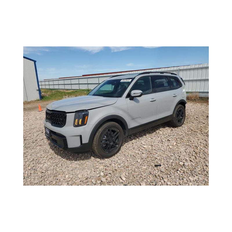 2025 KIA TELLURIDE 5XYP3DGC6SG671215 69639635 2025 KIA TELLURIDE 5XYP3DGC6SG671215 69639635