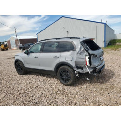 2025 KIA TELLURIDE 5XYP3DGC6SG671215 69639635