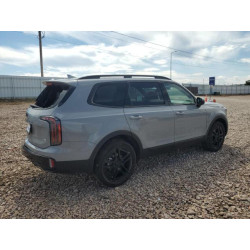 2025 KIA TELLURIDE 5XYP3DGC6SG671215 69639635