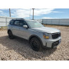 2025 KIA TELLURIDE 5XYP3DGC6SG671215 69639635