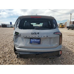2025 KIA TELLURIDE 5XYP3DGC6SG671215 69639635