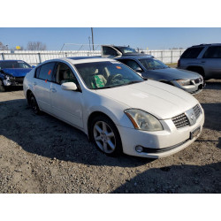 2005 NISSAN MAXIMA