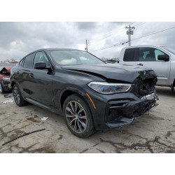2022 BMW X6