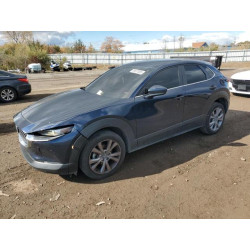 2021 MAZDA CX30 3MVDMBBL6MM247792 89837685