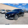 2021 MAZDA CX30 3MVDMBDM2MM219848 93296445