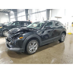 2024 MAZDA CX30 3MVDMBCM6RM607691 87391795