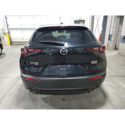 2021 MAZDA CX30 3MVDMBDL3MM206131 91299575