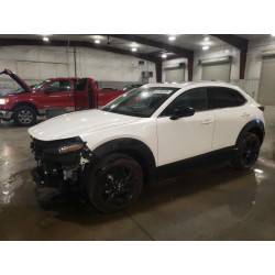 2022 MAZDA CX30 3MVDMBDY5NM432362 81769285