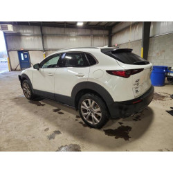 2022 MAZDA CX30 3MVDMBDL2NM401560 91475235