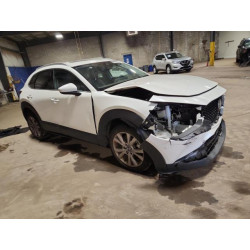 2022 MAZDA CX30 3MVDMBDL2NM401560 91475235