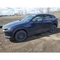 2021 MAZDA CX30 3MVDMBDL8MM204780 54126925