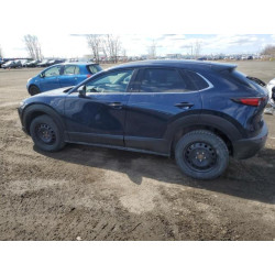 2021 MAZDA CX30 3MVDMBDL8MM204780 54126925