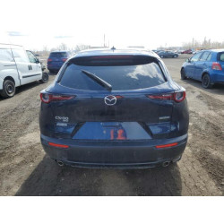 2021 MAZDA CX30 3MVDMBDL8MM204780 54126925