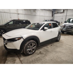 2025 MAZDA CX30 3MVDMBCM4SM801898 87442455
